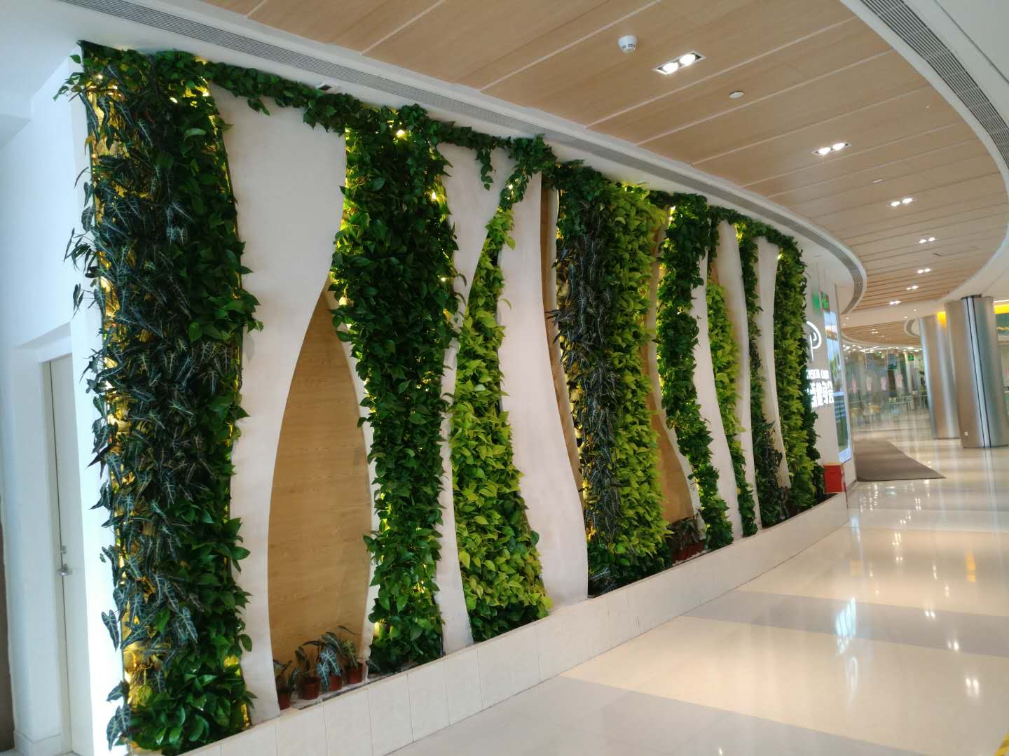 黔西南：生态文明绘就发展新图景