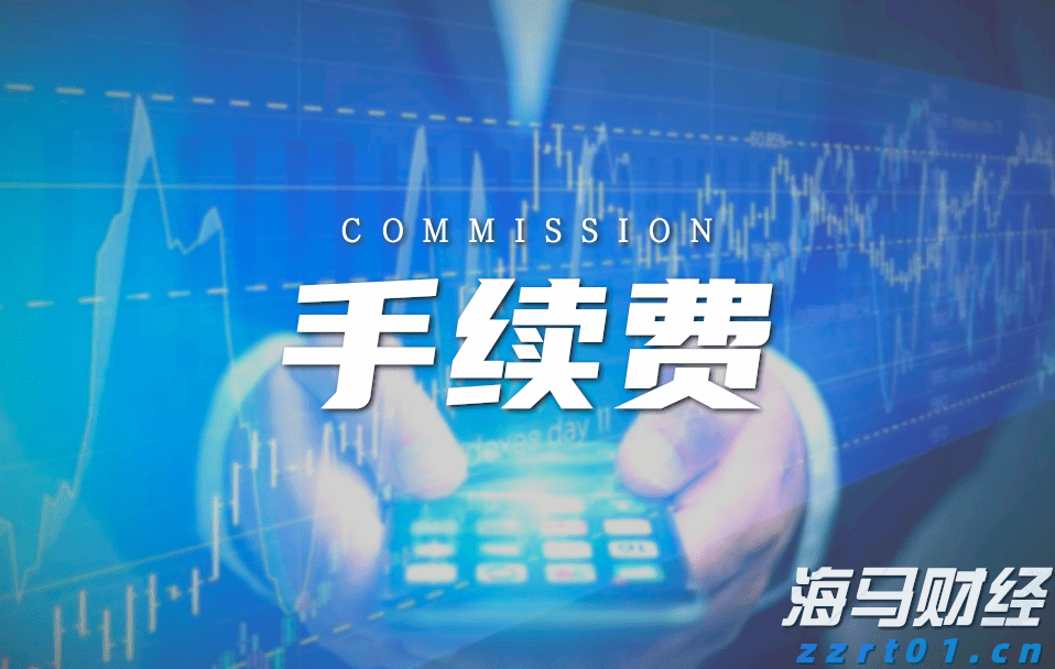 湛江海湾大桥免费通行首日车流量突破6万辆